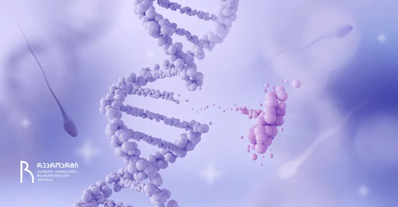 spermis-dnm-fragmentatsia-mamakatsis-unayofobis-naklebad-tsnobili-mizezi