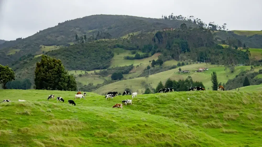 agroturizmi-saqartveloshi