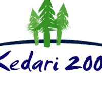 კედარი 2003